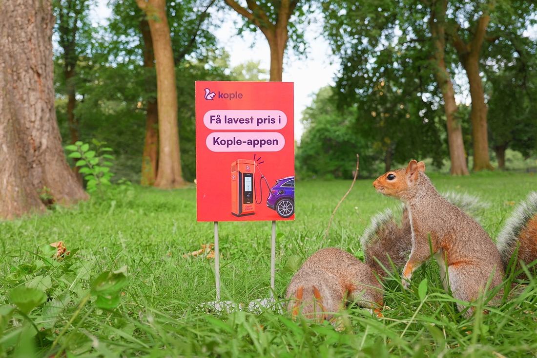 Kople-skiltet står i gresset i Central Park mens to ekorn spiser ved siden av